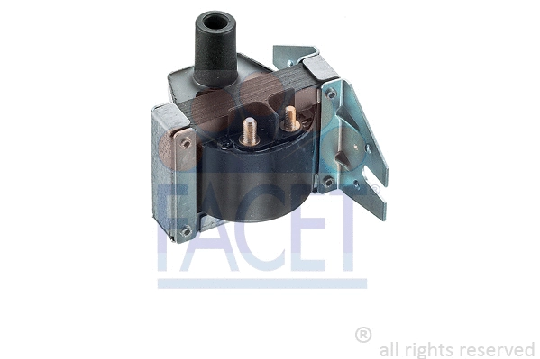 FACET 96012