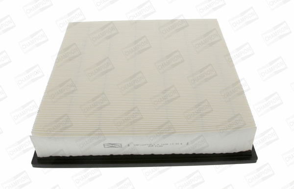 CHAMPION CAF100770P