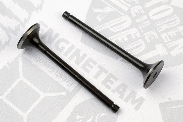 ET ENGINETEAM VE0041