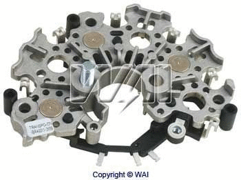 WAI IBR40011