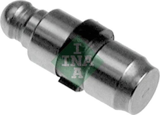 INA 420018810