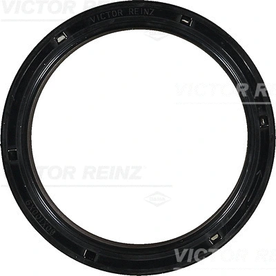 VICTOR REINZ 813505100