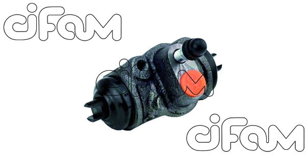 CIFAM 101989