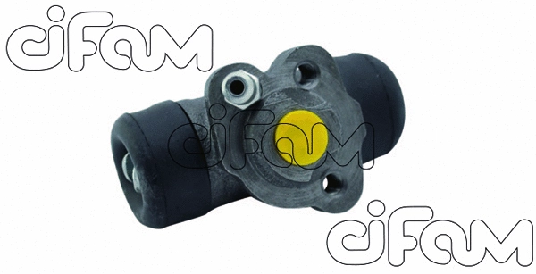 CIFAM 101670