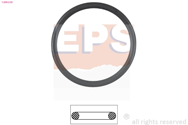 EPS 1890538