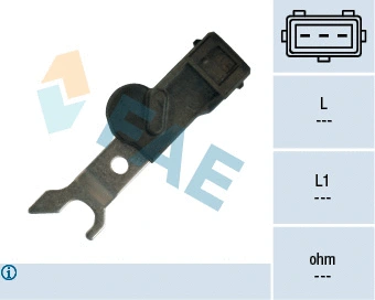 FAE 79166