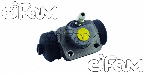 CIFAM 101109