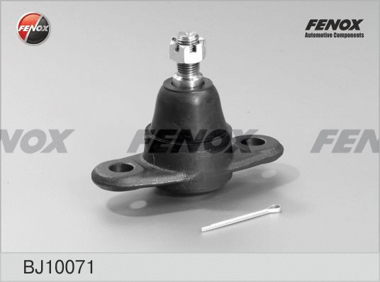 FENOX BJ10071