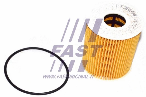 FAST FT38094