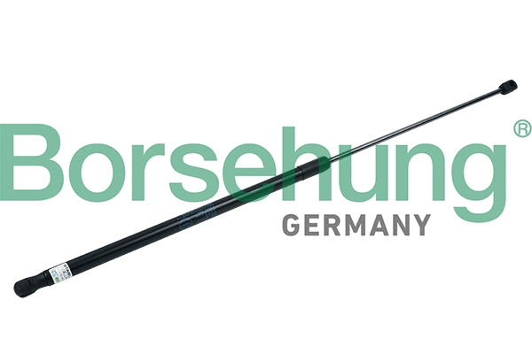 BORSEHUNG B18428