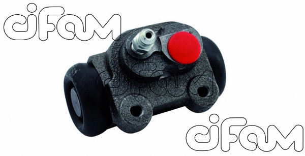 CIFAM 101810