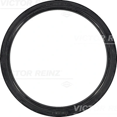 VICTOR REINZ 813380100