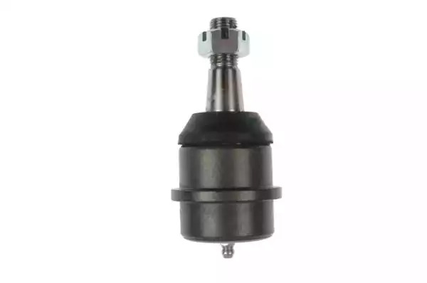 FORTUNE LINE FZ3061