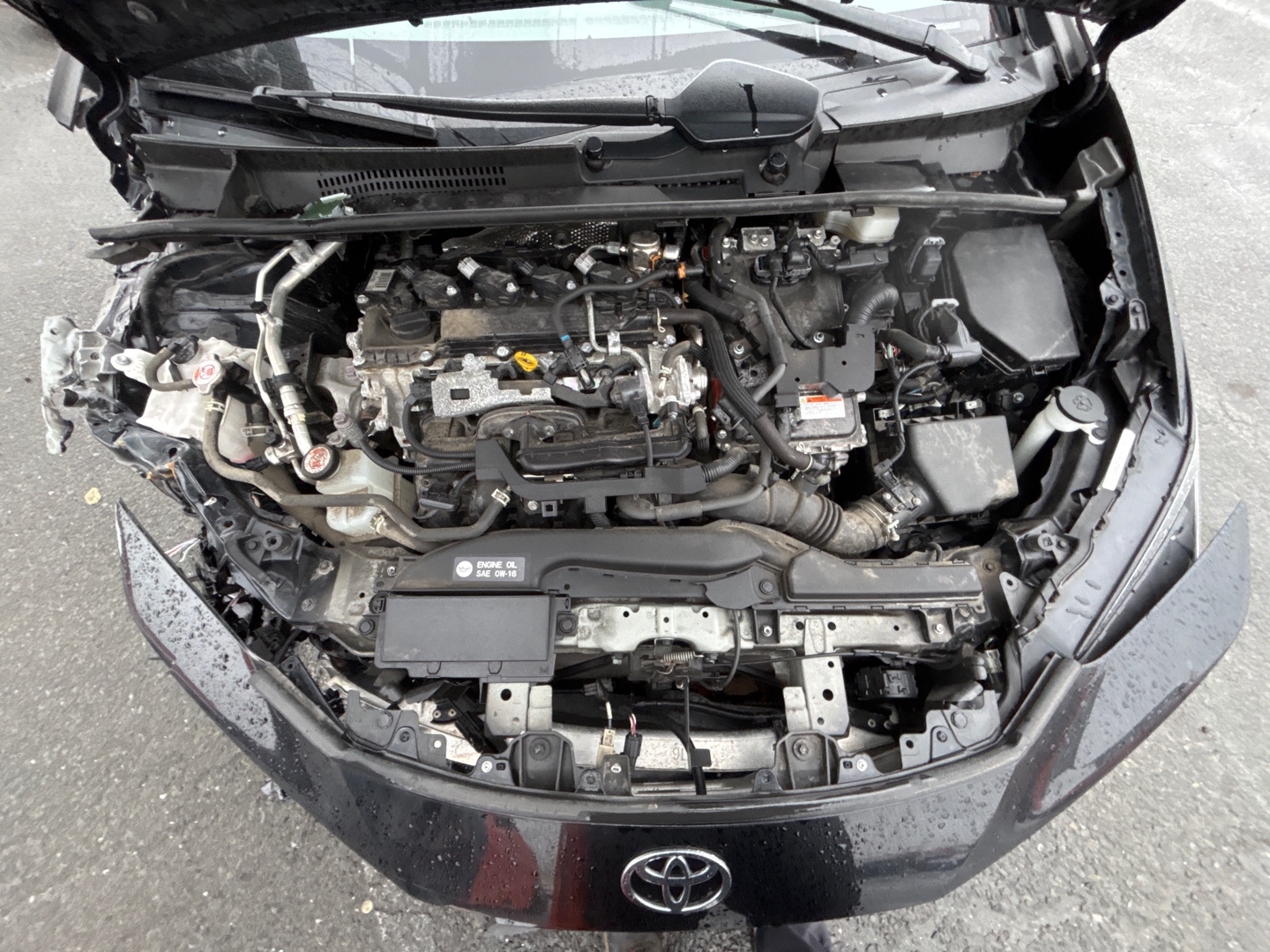 Toyota Prius 2023