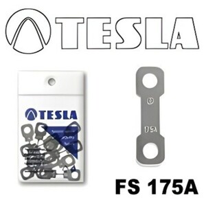 TESLA FS175A10