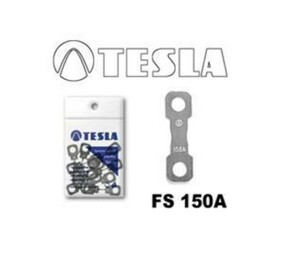 TESLA FS150A10