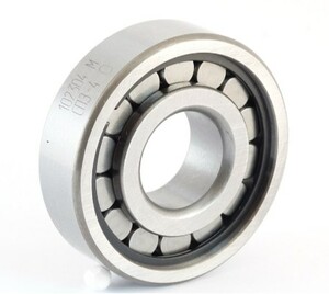 SKF 6304