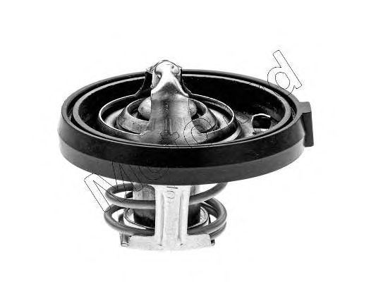 MOTORAD 34091