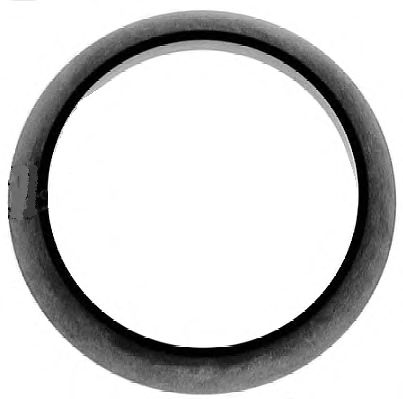 ELRING 703613