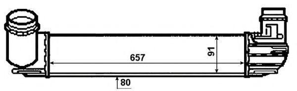 NRF 30481