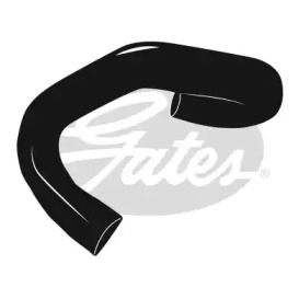 GATES 3974