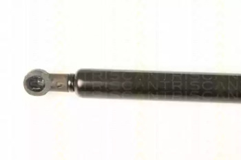 TRISCAN 871025245