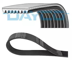 DAYCO 8PK1555HD