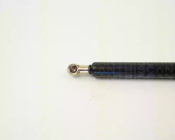 TRISCAN 87101009