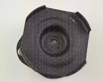 TRISCAN 850050910